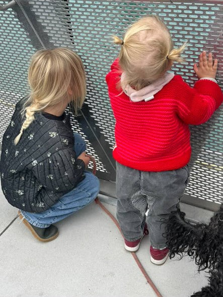 Big Little Store Knitted Jumper Red